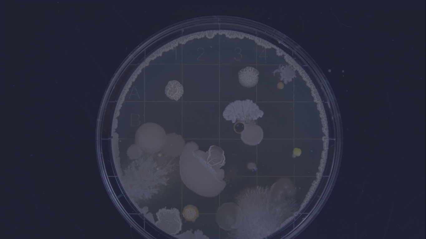 Background Heimspiel Wissenschaft